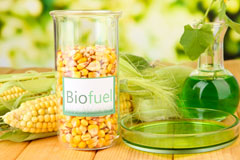 Caterham biofuel availability